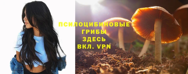скорость Сосновый Бор