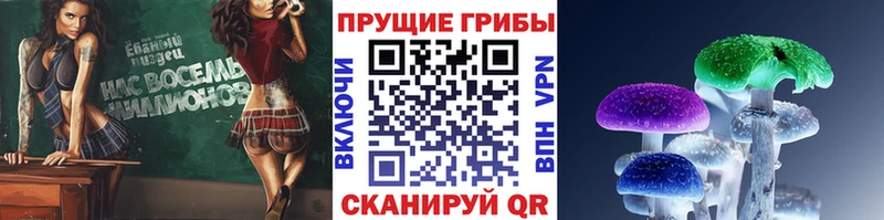 Галлюциногенные грибы Magic Shrooms  продажа наркотиков  kraken зеркало  Южно-Сухокумск 