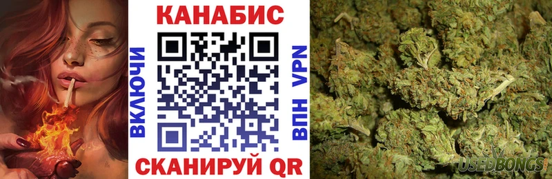 Конопля сатива  Южно-Сухокумск 